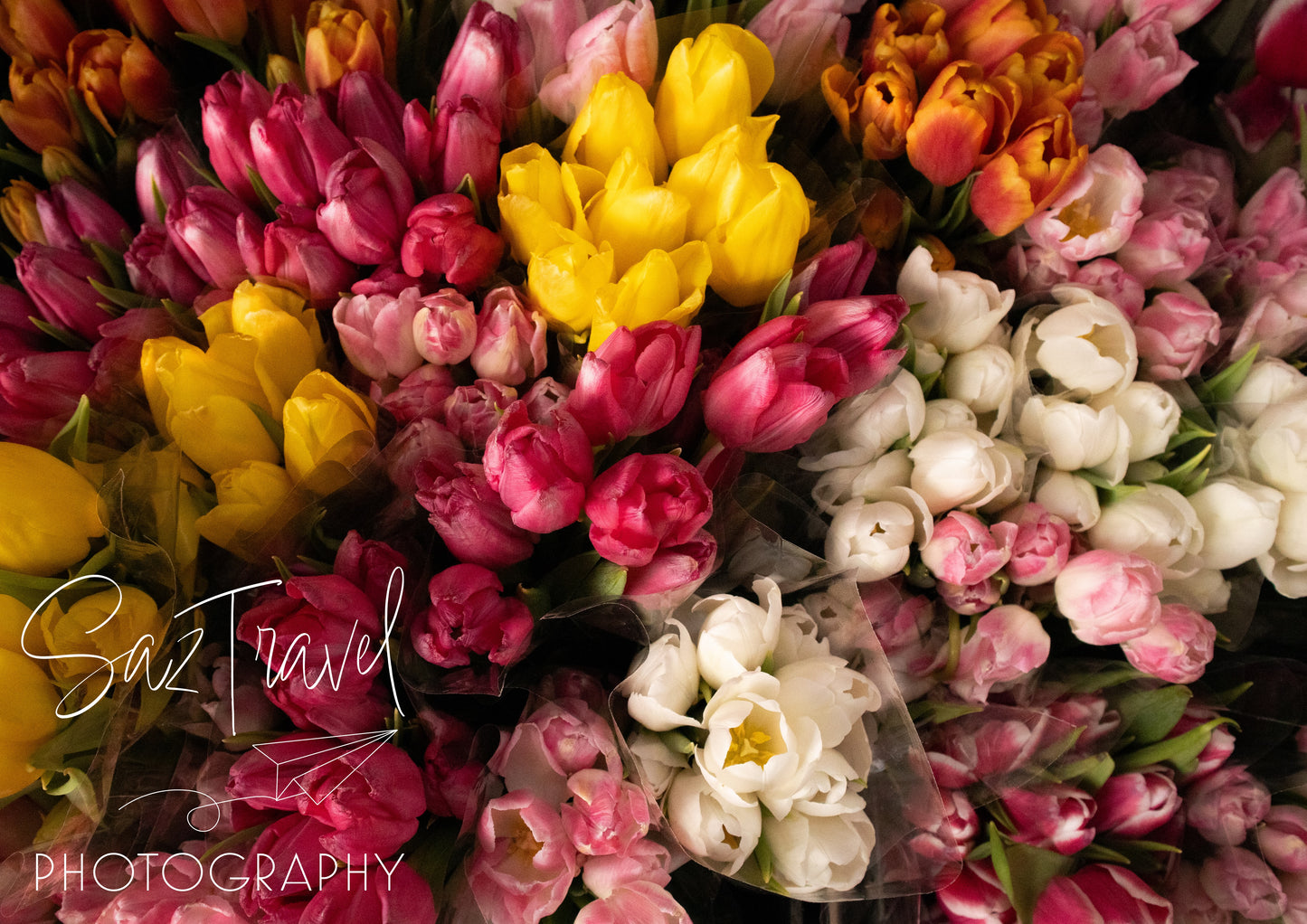 Colourful Floral Display